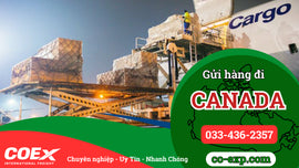 Gửi Hàng Đi Canada – Nhanh, An Toàn, Theo Dõi 24/7 | COEx
