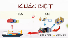 🚢 Phân Biệt FCL, LCL, CY, CFS Trong Xuất Nhập Khẩu – Gửi Sai Là Mất Tiền!