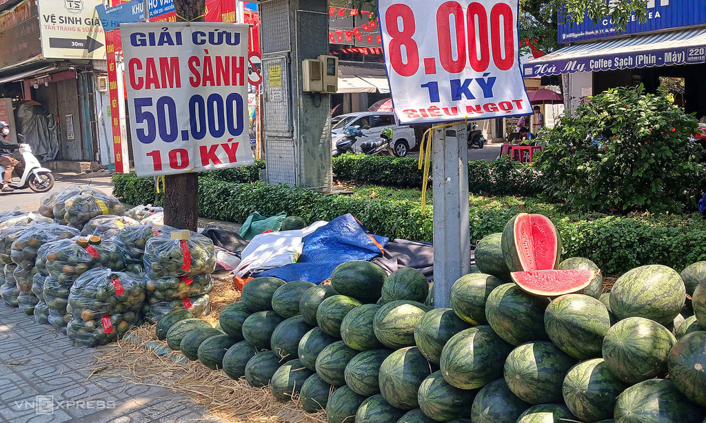 Giá Nông Sản Sụt Giảm Tại Gia Lai: Hệ Lụy Cho Nông Dân Và Bài Học Về Chuỗi Cung Ứng Quốc Tế
